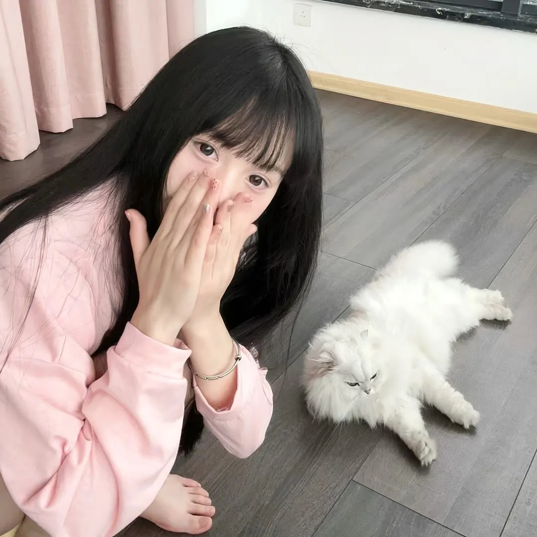 天使陨落